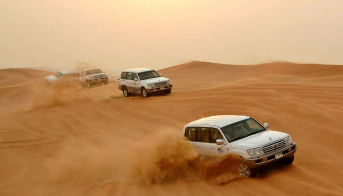 Dune-Bashing jaisalmer