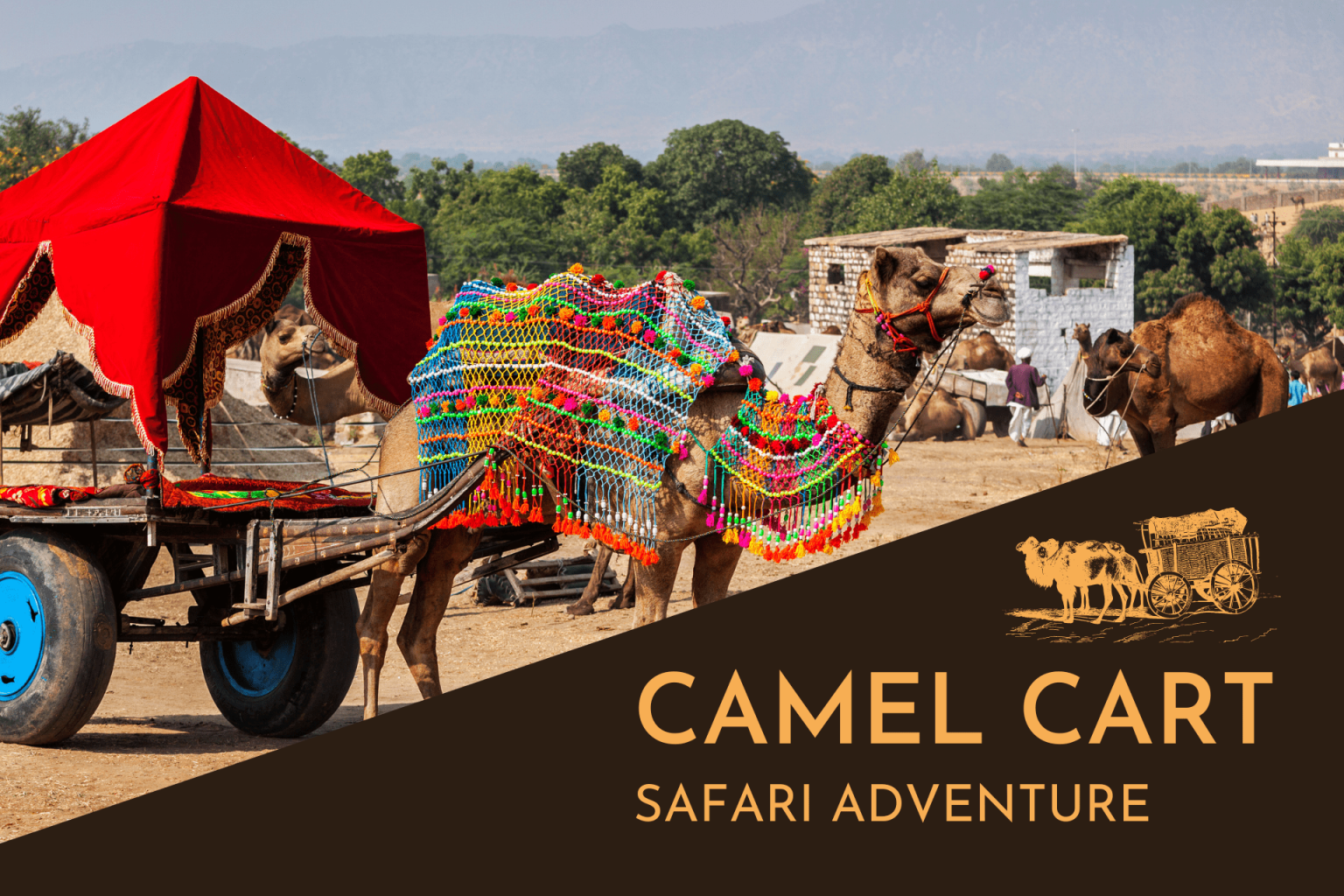 Discover the Magic of Camel Cart Safari Adventure